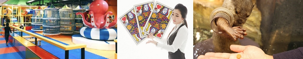 키즈카페와 실시간 비대면으로 진행하는 마술수업(왼쪽부터), 실내동물원 등 놀이의발견에서 소개하는 다양한 놀이들.[놀이의발견 제공]
