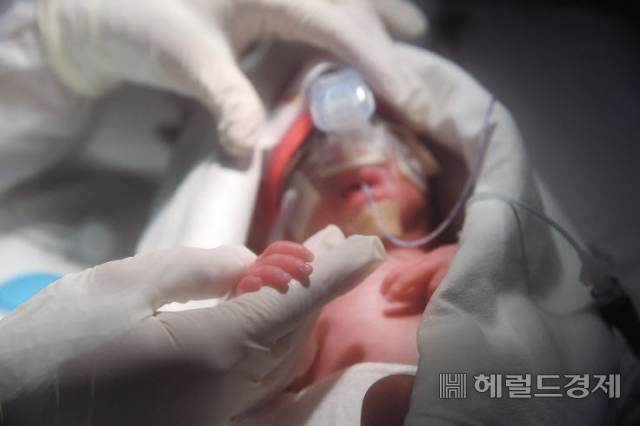 우리나라에서 34년만에 다섯쌍둥이가 건강하게 태어났다. 지난 18일 서울 종로구 서울대병원에서 전종관 교수를 포함, 30여명의 의료 인력이 총출동해 다섯 생명이 건강하게 세상에 나오도록 최선을 다했다. 이들 다섯 새 생명들은 서울대병원 신생아중환자실에서 집중 치료를 받고 있다. 박해묵 기자