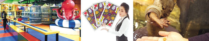 키즈카페와 실시간 비대면으로 진행하는 마술수업(왼쪽부터), 실내동물원 등 놀이의발견에서 소개하는 다양한 놀이들. [놀이의발견 제공]