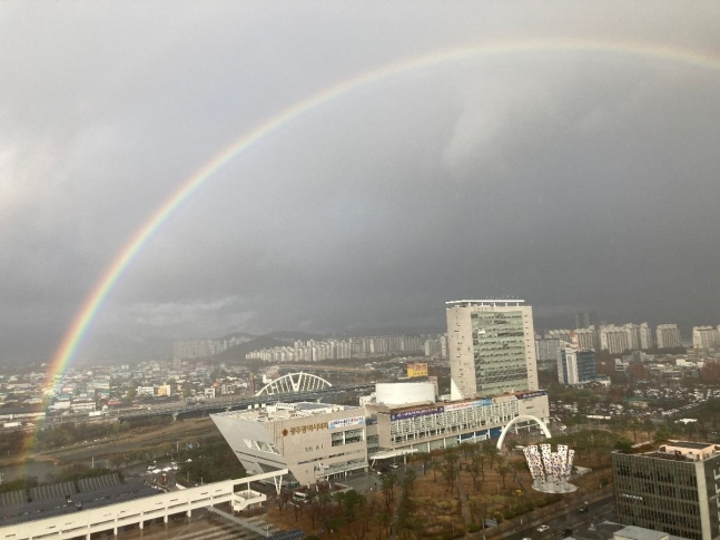 [트위터 캡처]