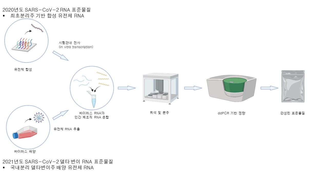 코로나19 표준물질 제조 모식도.[한국표준과학연구원 제공]