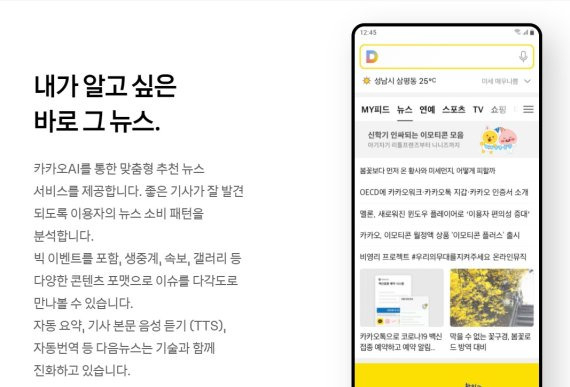 포털 다음 뉴스 소개 [카카오 공식 홈페이지 갈무리]