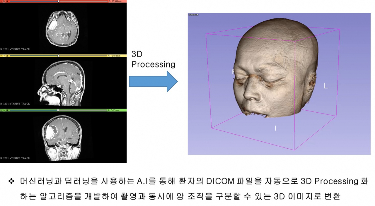 [KIST 제공]