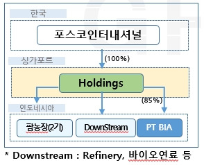 싱가포르 지주회사 투자 구조 [포스코인터내셔널 제공]