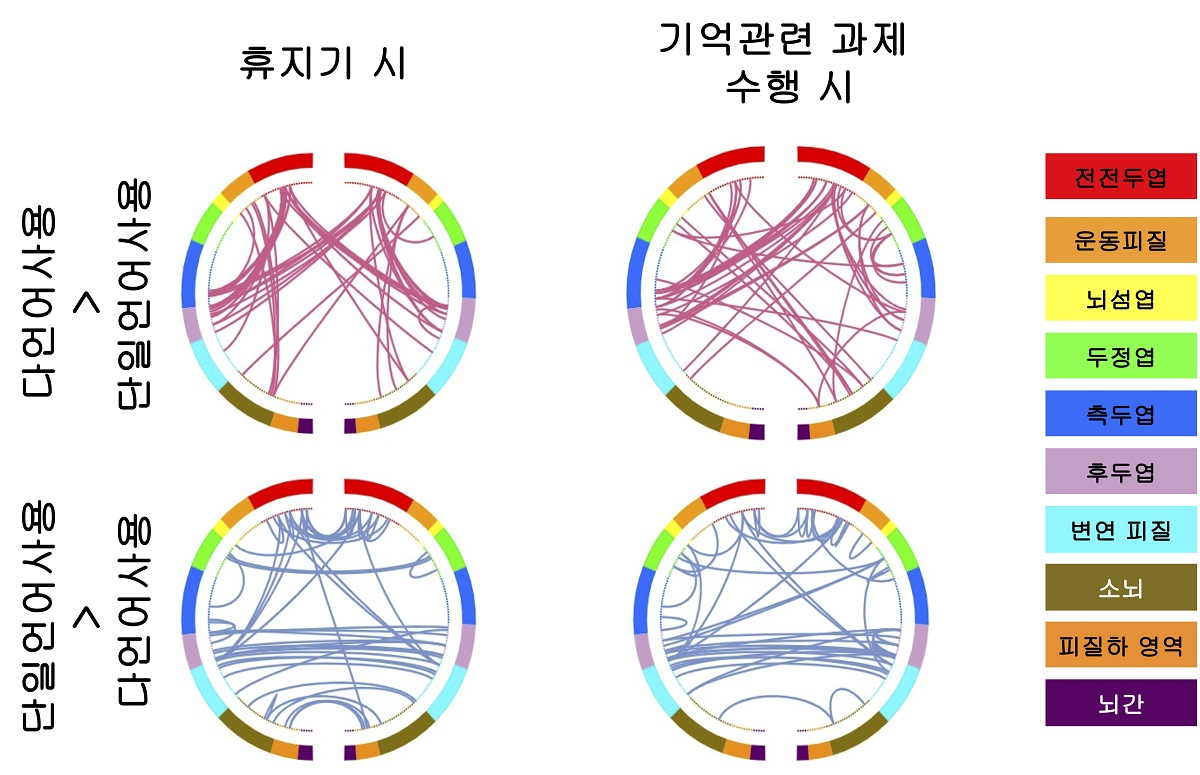 다언어 사용 아이와 단일언어 사용 아이의 뇌 전체 연결망 차이를 나타내는 이미지.KAIST 제공]