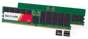 SK하이닉스가 업계 최초로 샘플 출하한 24Gb DDR5 D램과 96GB, 48GB D램 모듈. [SK하이닉스 제공]