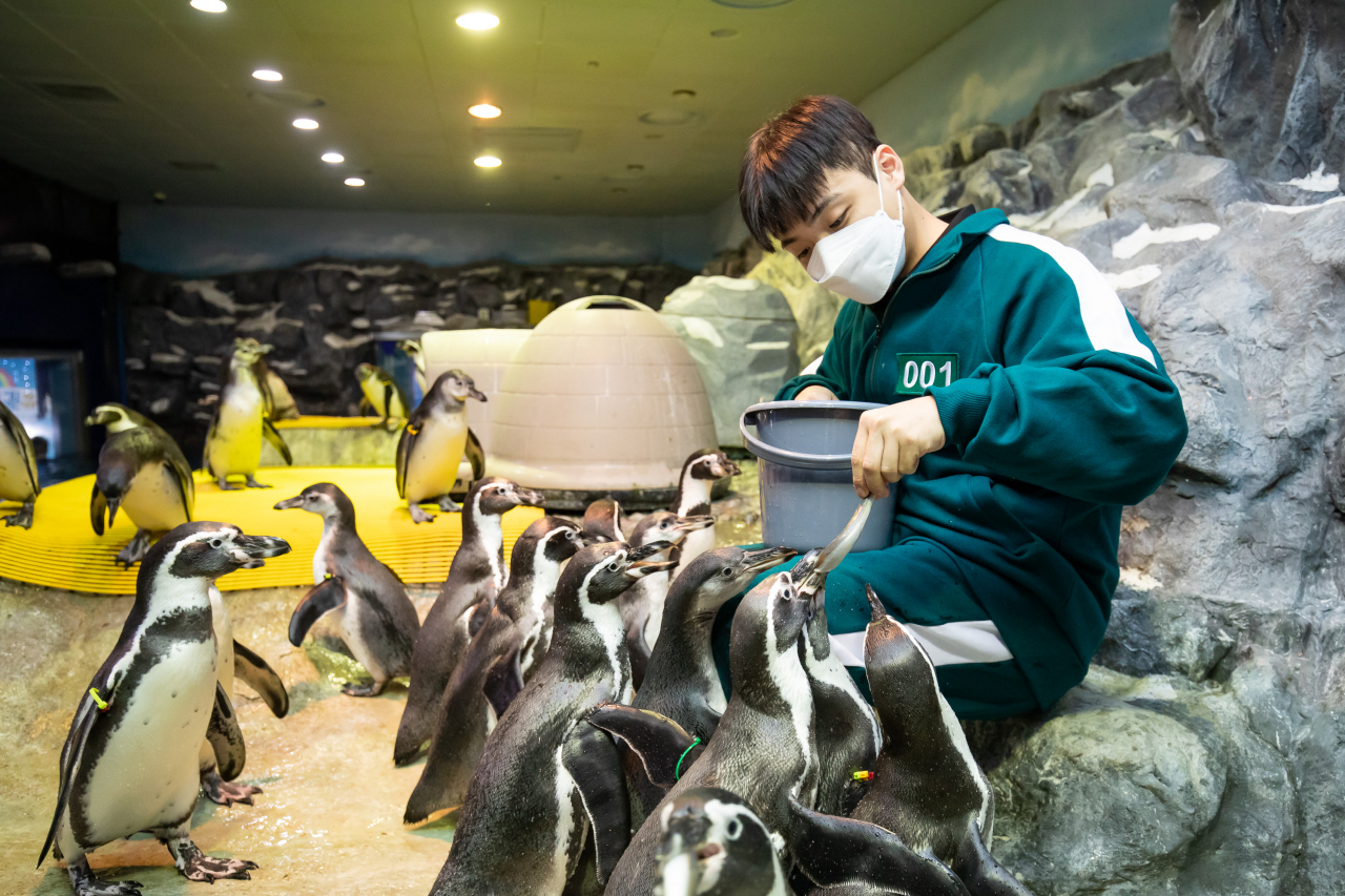 같은 해 태어난 롯데월드아쿠아 깐부 펭귄과 오징어게임 복색의 아쿠아리스트