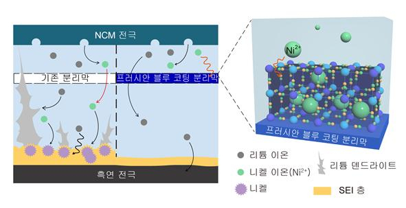 [연구그림] 기존의 분리막을 쓴 경우와 프러시안 블루 코팅 분리막을 쓴 경우 배터리 내부 반응 비교