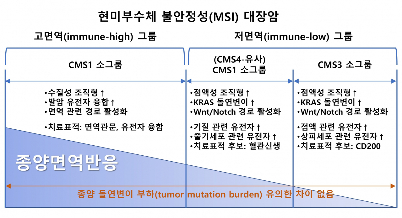 세분화된 대장암(현미부수체 불안정성 대장암) 분류 제안 모식도. [서울대 제공]