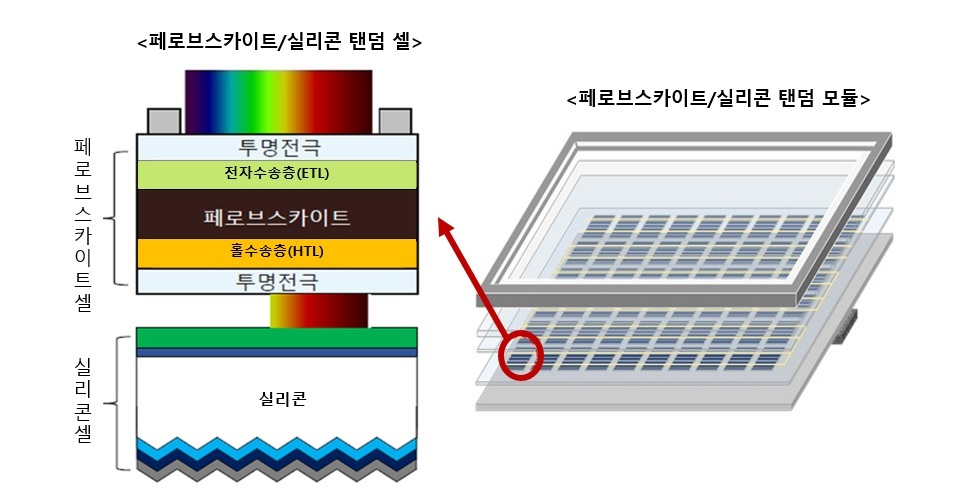 페로브스카이트-결정질 실리콘 탠덤 모듈 개념도 [한화큐셀 제공]