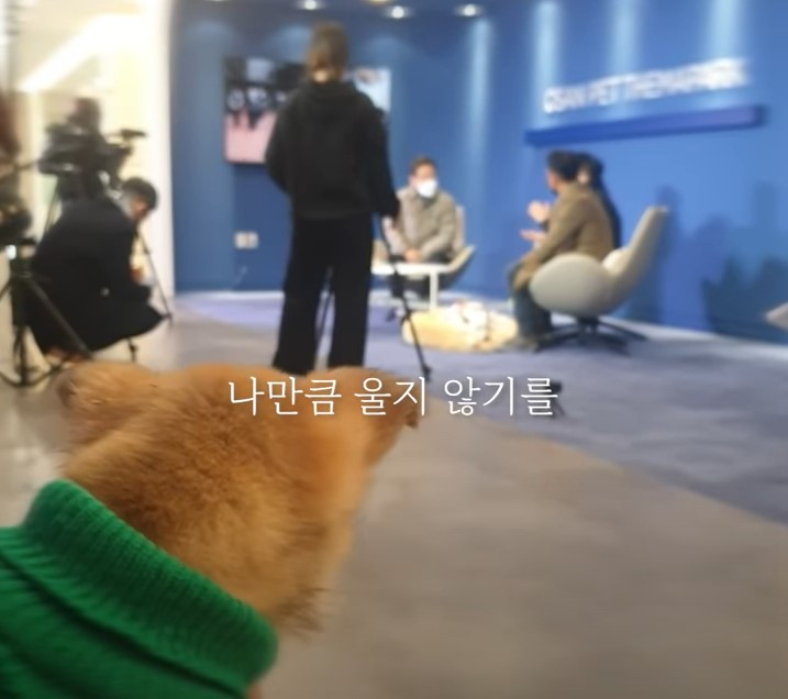 이재명 후보가 반려견과 함께 출연한 유튜브 영상에 신승훈의 노래 ‘아이 빌리브(I Believe)’의 자막이 나오고 있다. [이재명 유튜브 캡쳐]