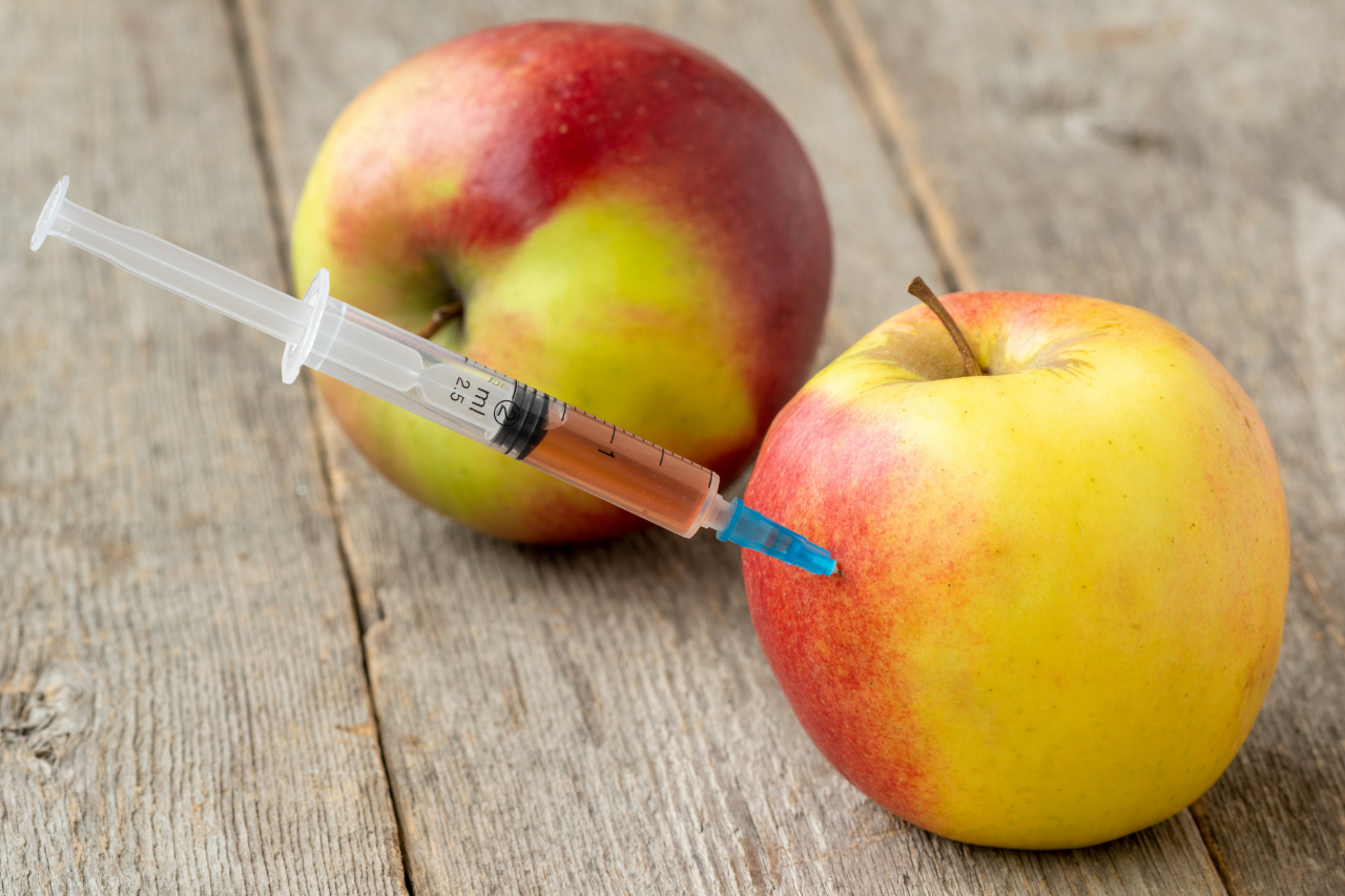 GMO 관련 이미지[123RF]