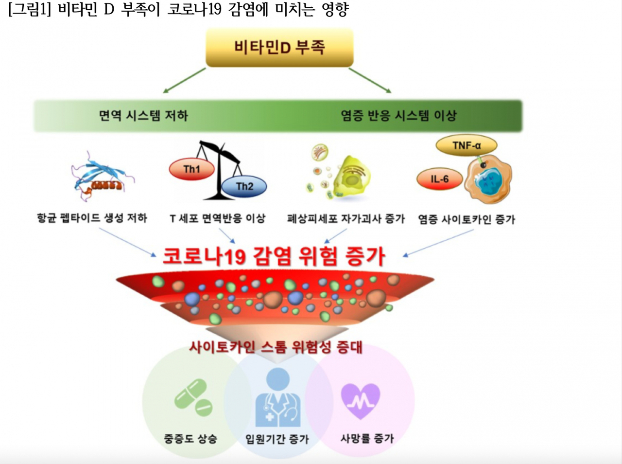 [분당서울대병원 제공]