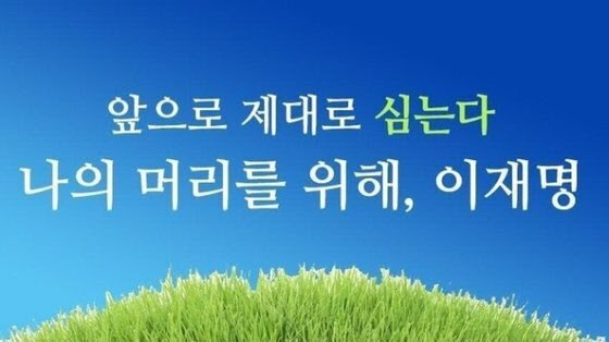 디시인사이드 '탈모갤러리' 캡쳐