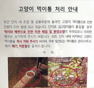 길고양이 먹이살포에 너구리도 산에서 내려와, 광견병·로드킬 등 우려