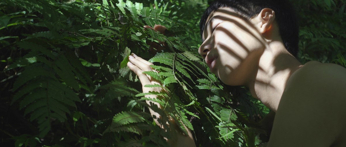 전시작품 정보(Zheng Bo)의 ‘양치류 식물(Pteridophilia)’.