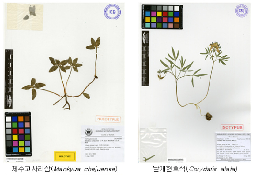 [환경부 제공]