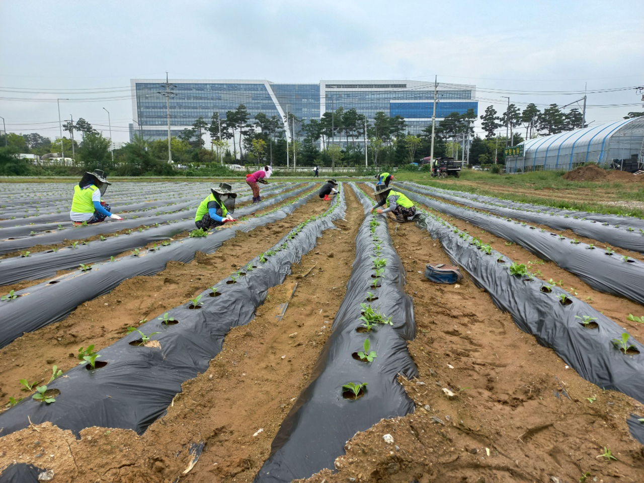 [성남시 제공]