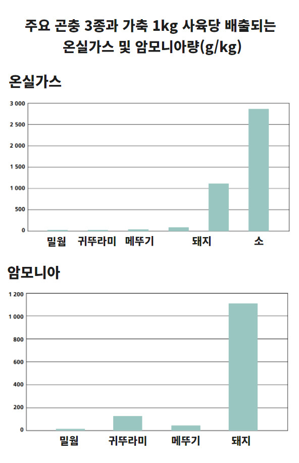 [자료=Oonincx]
