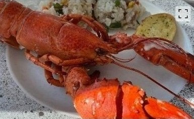 [블라인드 캡쳐]