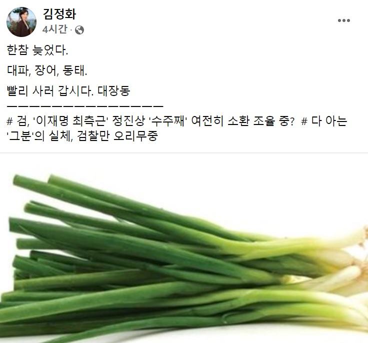 김정화 전 민생당 대표 페이스북 일부 캡처.