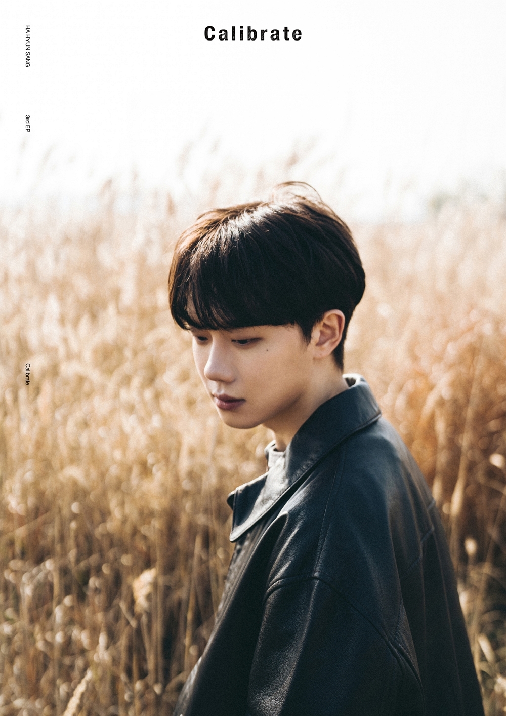 As a soloist and a band, Ha Hyunsang calibrates music through self