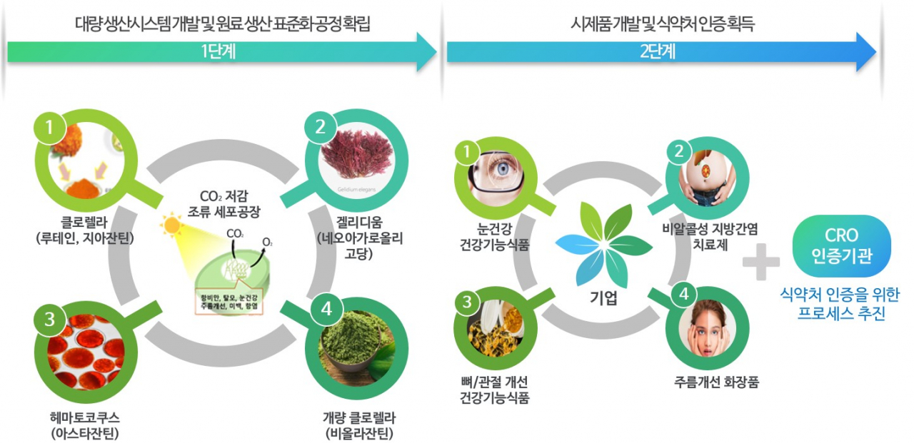 원천기술 중개연구 추진 프로세스.[한국생명공학연구원 제공]