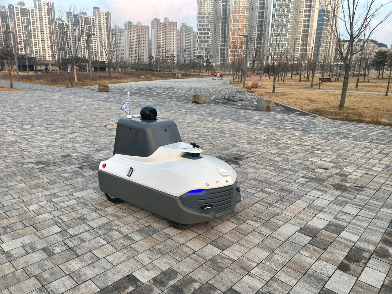 골리