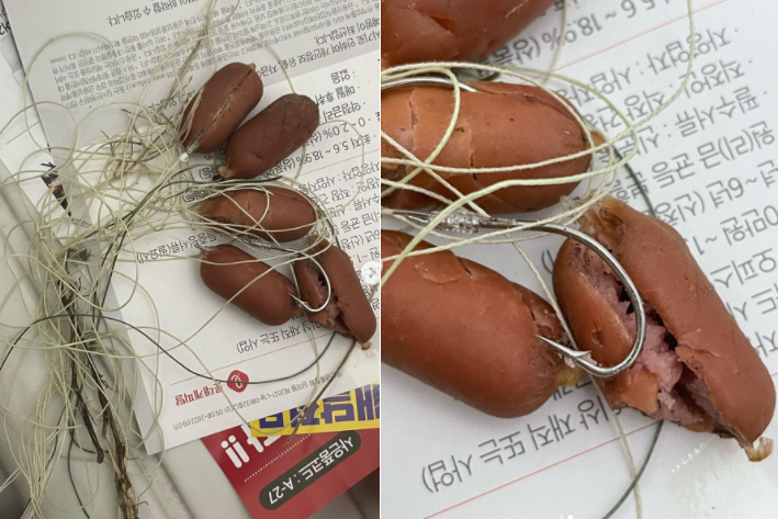 [인스타그램 캡처]