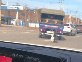 [온라인 커뮤니티 캡처]