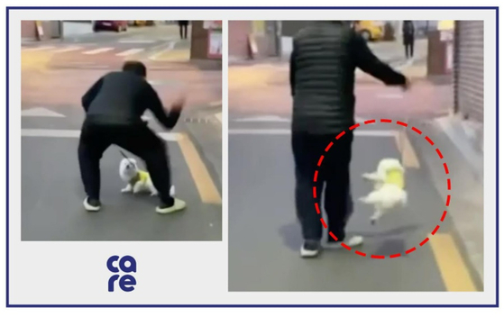 서울 은평구에 거주하는 80대 남성이 반려견 ‘다롱이’의 목줄을 들고 바닥에 내려치는 등 학대를 가하는 모습. [동물권단체 케어 제공]