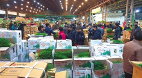 전국 농산물이 모이는 서울 가락시장 전경.