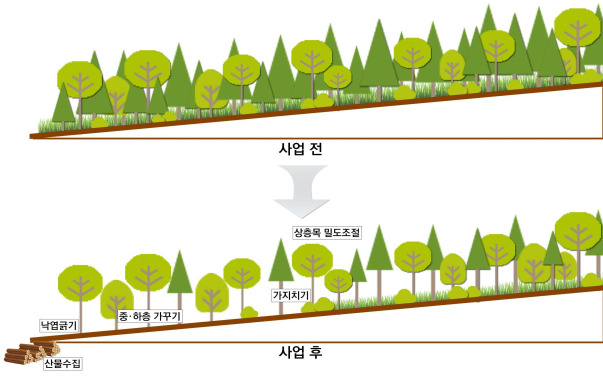 산불 예방 숲가꾸기 개념도