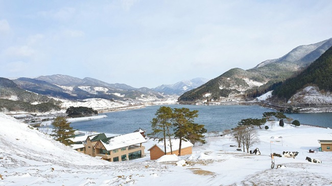 구례 지리산치즈랜드 겨울 풍경.