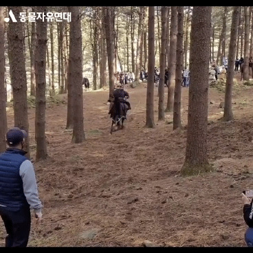 동물자유연대 제공