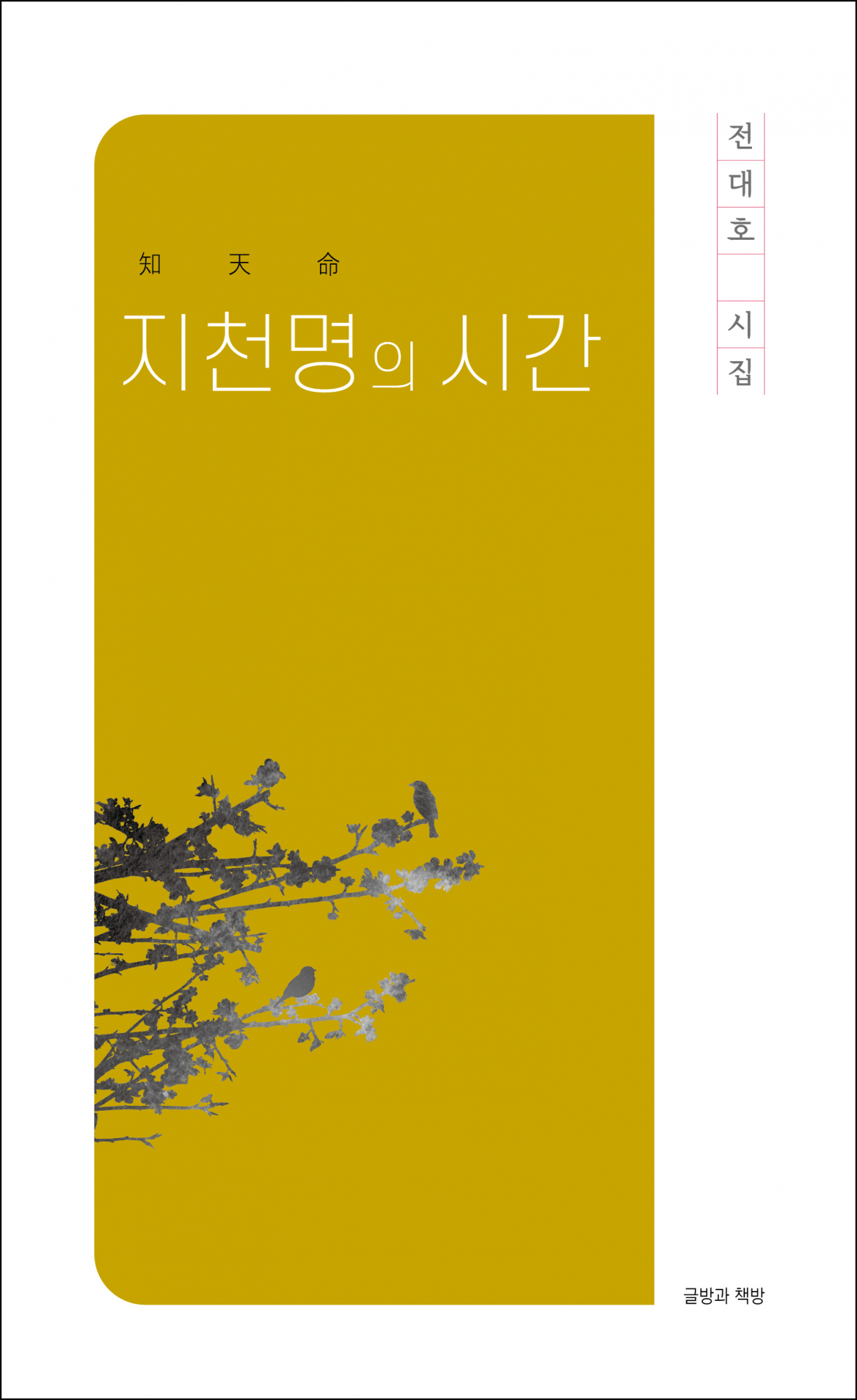 지천명의 시간/전대호 지음/글방과 책방