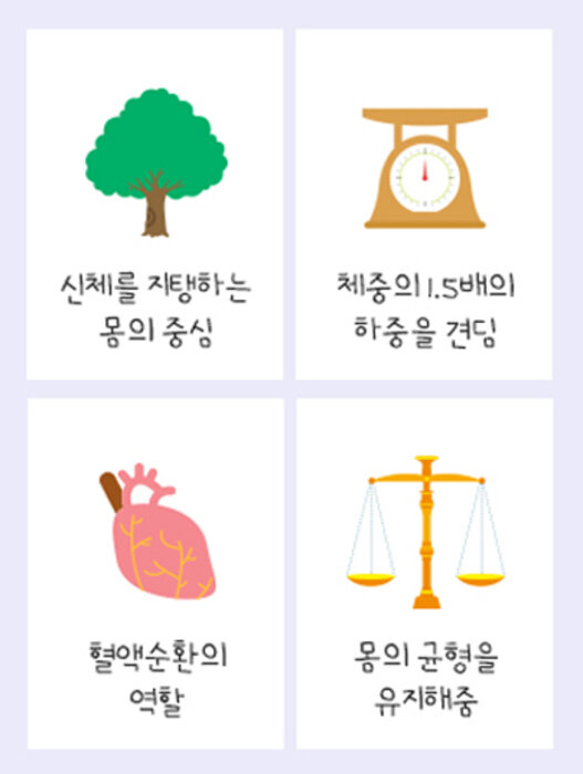 발의 기능 [연세건우병원]