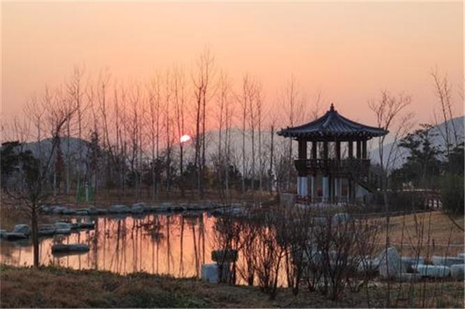 해운대수목원 일출 모습. [부산시 제공]