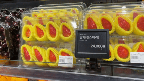26일 오전 서울 송파구 롯데백화점 잠실점에 진열된 딸기 제품의 모습. 두툼한 스티로폼 완충재로 싸인 딸기를 스티로폼 깔개 위에 놓은 뒤, 플라스틱 통으로 한번 더 보호했다.. [사진=최준선 기자]