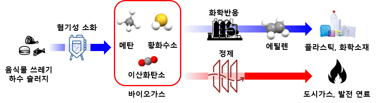 음식물 쓰레기, 하수 슬러지로부터 플라스틱, 화학소재 생산 모식도.[KIST 제공]