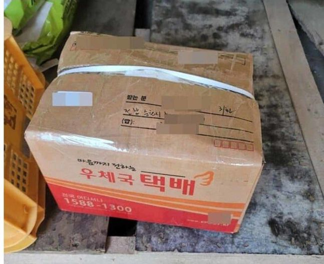 땅 소유권을 둘러싼 재판에서 패소한 이가 시골에 사는 노모에게 보냈다는 택배. [보배드림 캡쳐]