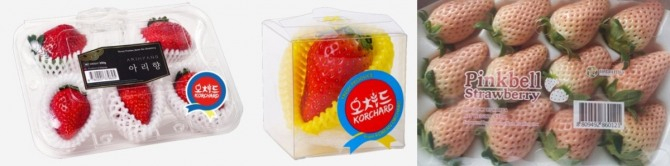 (왼쪽부터) 한국 품종인 매향, 킹스베리, 핑크벨