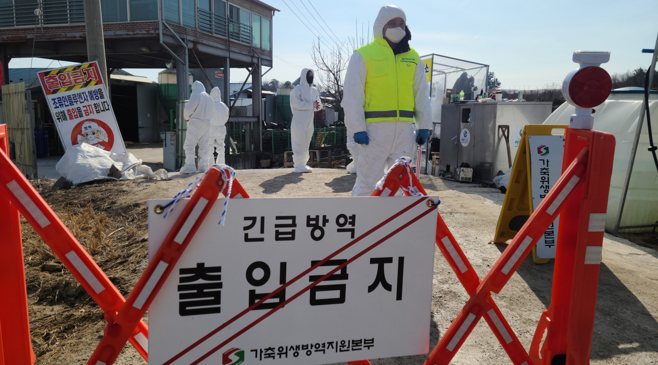 지난달 30일 고병원성 조류인플루엔자(AI) 의심 사례가 확인된 전북 김제시의 한 오리 농가에서 방역 요원들이 출입을 통제하고 있다. 이 농장은 오리 8000여 마리를 사육하고 있으며 고병원성 여부는 1&sim;3일 후 판명될 예정이다. [연합]