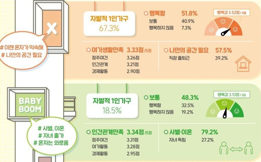 1인가구 실태조사. X세대(2차베이비붐 세대- 다른 말로 F세대)와 1차 베이비붐세대