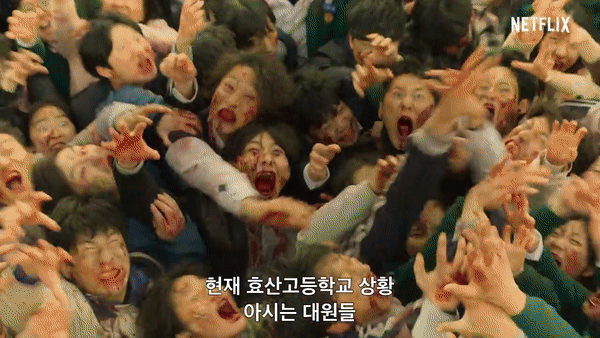 [넷플릭스 코리아]