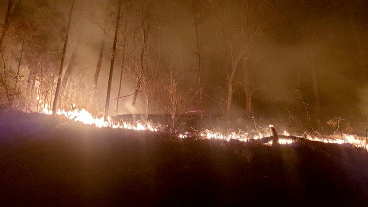 전남 고흥서 산불이 나 3시간 만에 꺼졌다.[산림청 제공]