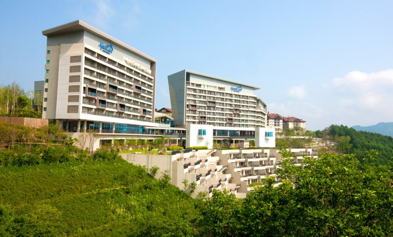 하이원 콘도의 춘흥