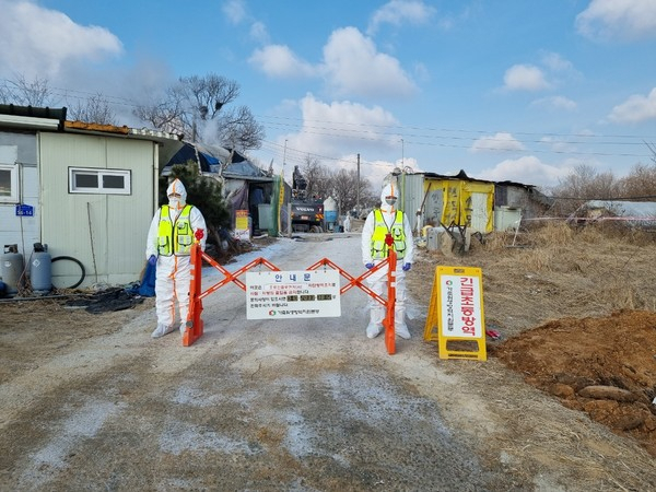 지난 4일 충남 천안시 풍세면 한 가금류 농장 진입로에서 방역 당국이 출입을 막고 긴급방역을 진행하고 있다. [연합]
