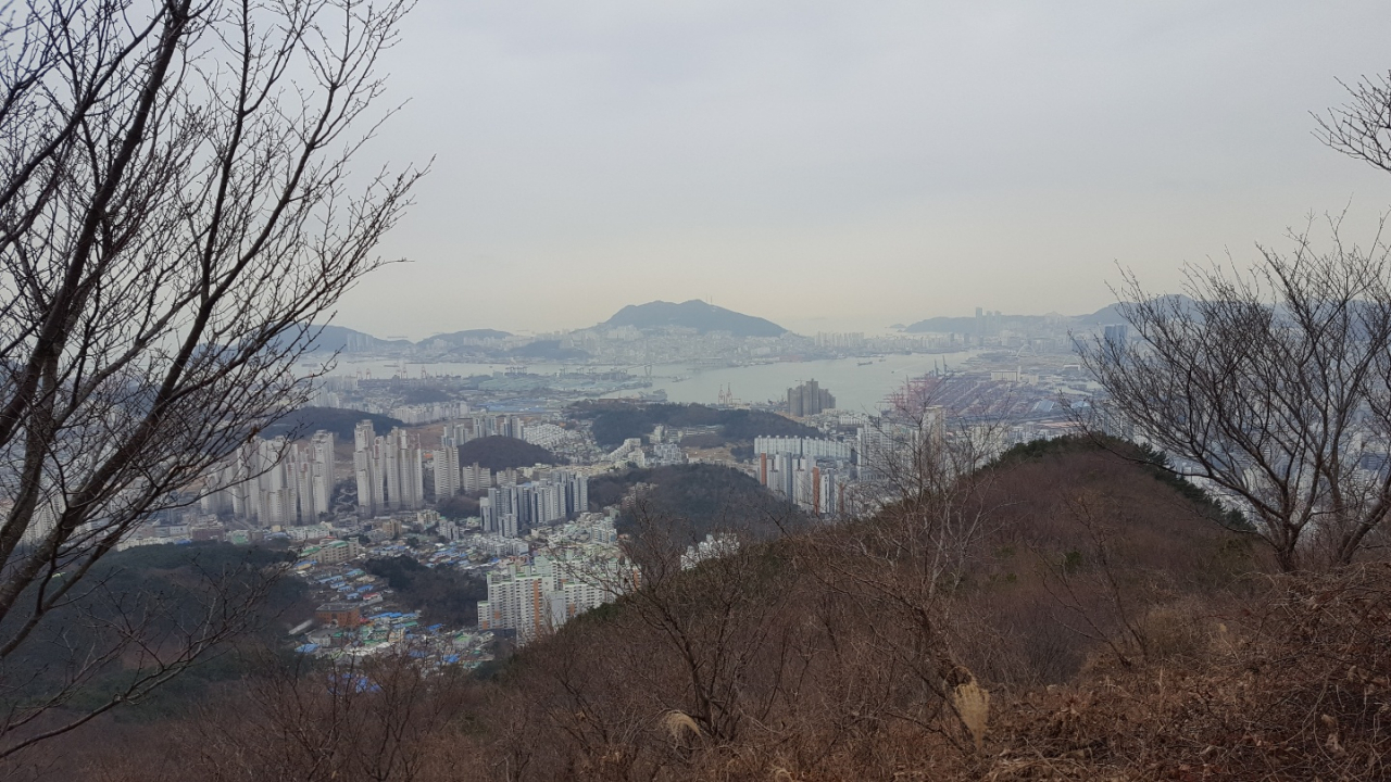 부산 황령산에서 바라본 부산항 전경.