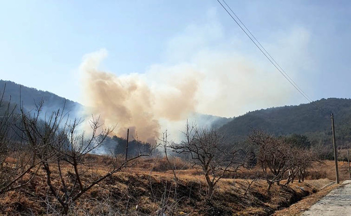 전남 고흥 포두면 야산에서 불이나 30여분만에 진화됐다.[전남도 제공]